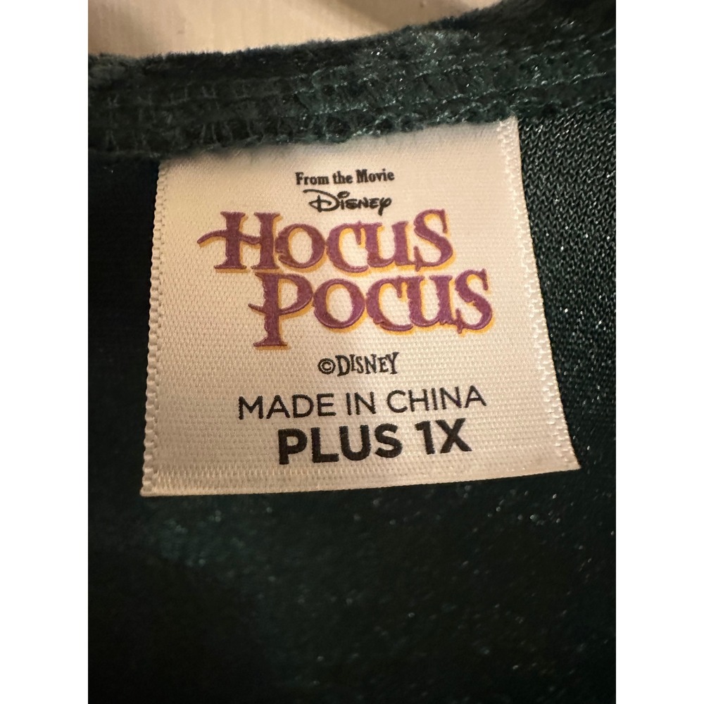 Disney Hocus Pocus Winifred Sanderson Costume Green Velvet Dress Plus 1X Spirit - Picture 3 of 14